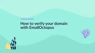 How to verify your domain with EmailOctopus