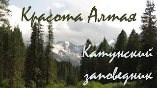 Красота Алтая. Катунский заповедник.