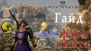 New World/Guide for new players: how to fast lvl up and best places to farm exp/Guild ASP