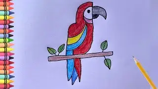 How to draw a parrot | Parrot drawing for beginners | step by step parrot drawing