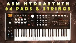 ASM Hydrasynth 