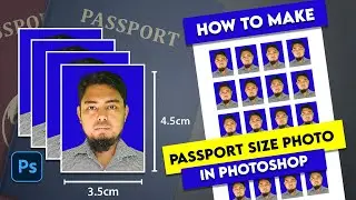 How to Make a Passport Size Photo in Photoshop [FAST & EASY]