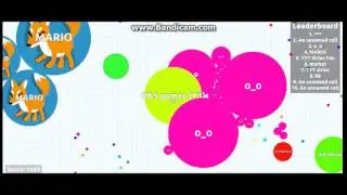 eerste van de wereld?? agar.io#1