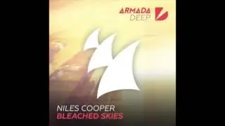 Niles Cooper - Bleached Skies