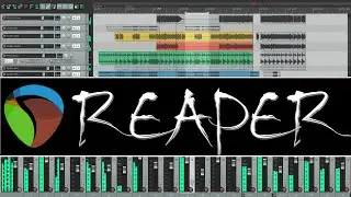 Reaper -- The Most Recommended* DAW