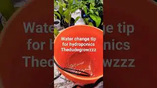 Easy water change tip for Hydroponics 
