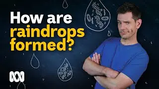 How rain droplets are formed by a dirty little secret 🌧️💦 | Weird Weather | ABC News