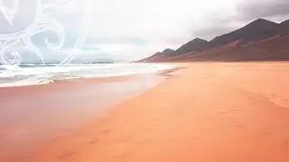 Walking in Cofete beach . Fuerteventura . Carany Islands . Spain