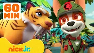 PAW Patrol's Jungle Pups Rescue Giant Animals! 🐯 w/ Marshall & Tracker | 1 Hour | Nick Jr.