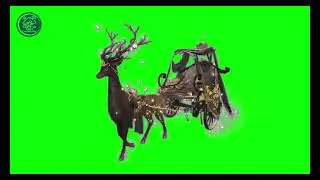 horse carriage green screen || green screen horse carriage #horse_carriage #horse Copyright Free