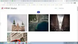 Easy Way To Create Dynamic Image Gallery In Elementor | Dynamic Gallery In WordPress