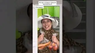 Соседка пришла погладить и покормить! Прикол 🤣 