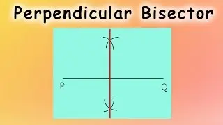 Perpendicular Bisector of a Line Segment | Math | Letstute