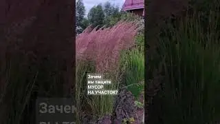 А вы приносите мусор на участок? 