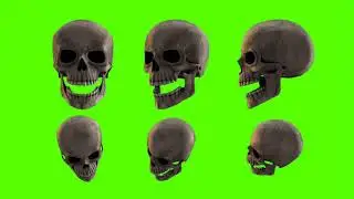 Copyright free 3D Green screen Skulls Heads Full HD video footage 1080p