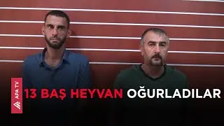 Hacıqabulda restorandan heyvanları oğurlayıb Bərdədə satdılar – APA