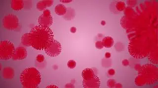 influenza COVID-19 or coronavirus 2019 Corona virus 2019 Loop Animation