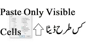 How To Paste Only Visible Cells In Excel
