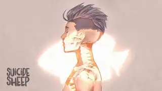 Prince Fox - Five Months Later