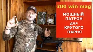 300 win mag. Дальнобойный! Мощный! Точный! Кому и зачем он нужен сегодня?