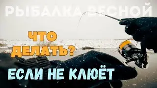 Микроджиг и мормышинг весной. Смена тактики на водоёме.