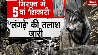 Wolf Attack in Bahraich: शिकंजे में 'आदमखोर', बहराइच में पकड़ा गया पांचवां भेड़िया | News Nation