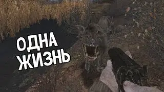 ОДНА ЖИЗНЬ. STALKER Dead Air С ОДНОЙ ЖИЗНЬЮ #1