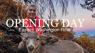 Into The High Country | Washington Mule Deer Film