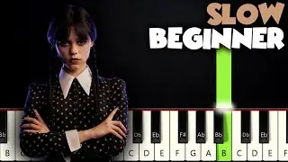 Wednesday Theme | SLOW BEGINNER PIANO TUTORIAL + SHEET MUSIC by Betacustic