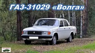 Новый ГАЗ-31029 Волга 2022 года. Обзор ГАЗ31029 ВОЛГА. GAZ Volga  Реальный отзыв владельца ГАЗ 31029