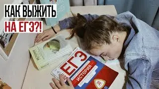 КАК СДАТЬ ЕГЭ С НУЛЯ / материалы для подготовки, История ЕГЭ