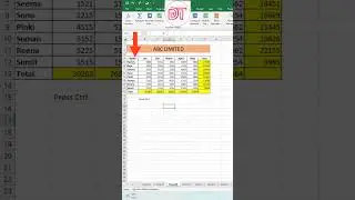 copy paste new shortcut | excel shortcuts 