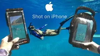 Searching for the BEST Underwater iPhone Case (Product Review)