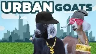 Urban Goats - Raising Goats in the Backyard