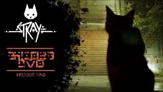 What is this place!? | Stray - Part 2