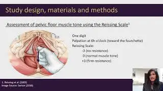 #524 Assessing Pelvic Floor Muscle Tone using Digital Palpation in Women with Provoked Vestibulo...