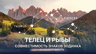 Телец и Рыбы совместимость.