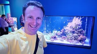 Best Aquarium in San Diego: Birch Aquarium at Scripps