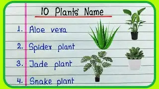 Plants Name 10 | Plants Name in English | Names of Plants | Plant Name