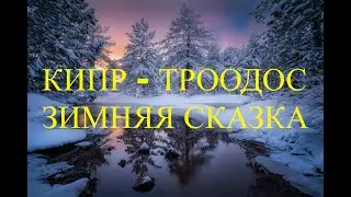 Кипр, горы Троодос - зимняя сказка