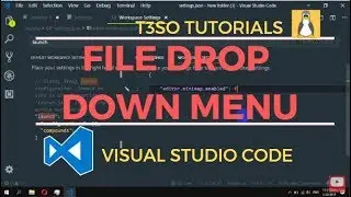 How to Hide file drop down menu in Visual Studio Code