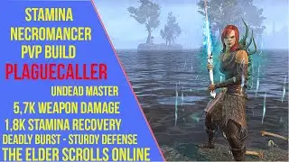 ESO Stamina Necromancer PVP Build - Plaguecaller - Blackwood