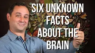 Six Unknown Facts About the ADHD Brain