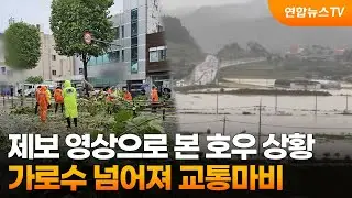 [온마이크] 제보 영상으로 본 호우 상황…가로수 넘어져 교통마비 外 / 연합뉴스TV (YonhapnewsTV)