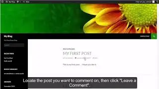 How to write a comment in WordPress?