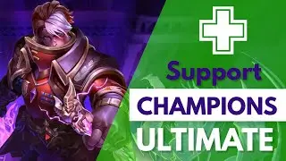 Paladins Support Champion Ultimates (Updated)