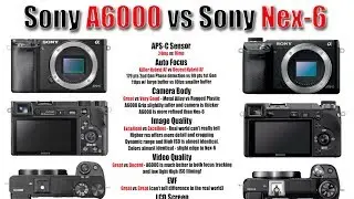 Sony A6000 vs Sony Nex 6 - Image Quality, High ISO, Focus Testing, and More..