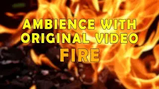 1 HOUR of Campfire Crakcle Relax Ambience with Live video. Relaxing fire sounds for sleep or study.