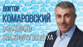 Доктор Комаровский о важности влажности воздуха