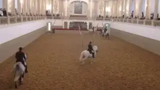 Spanish Riding School of Vienna, morning exercise 2015